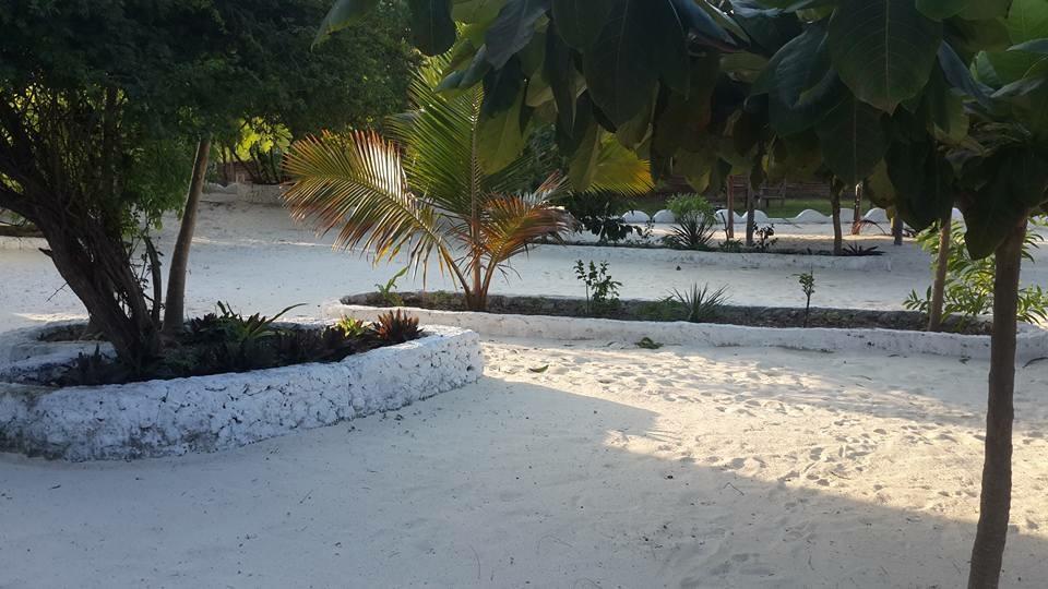 Mfumbwi Lodge ジャンビアニ エクステリア 写真