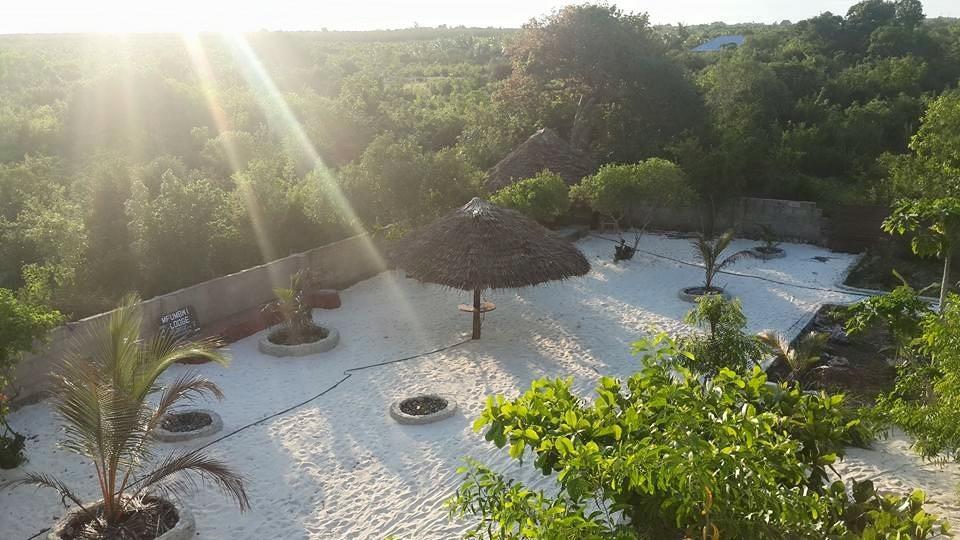 Mfumbwi Lodge ジャンビアニ エクステリア 写真